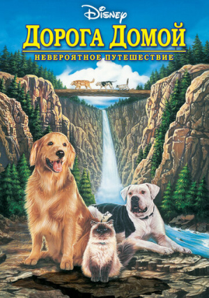 ������ �����: ����������� �����������