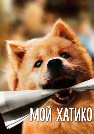 ��� ������