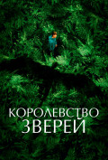 Королевство зверей Королевство зверей