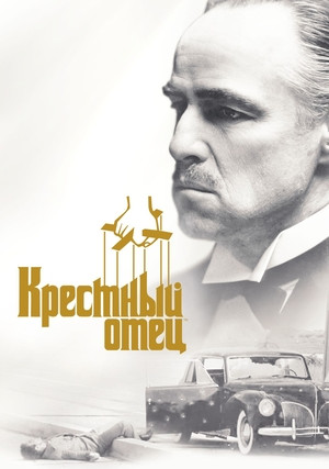 �������� ����