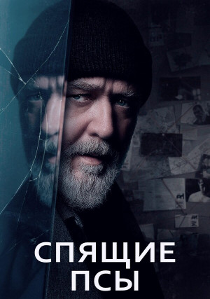 ������ ���