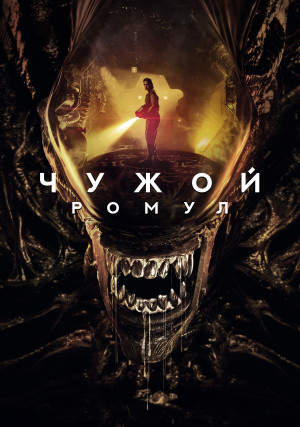 �����: �����