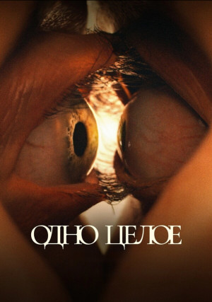 ���� �����